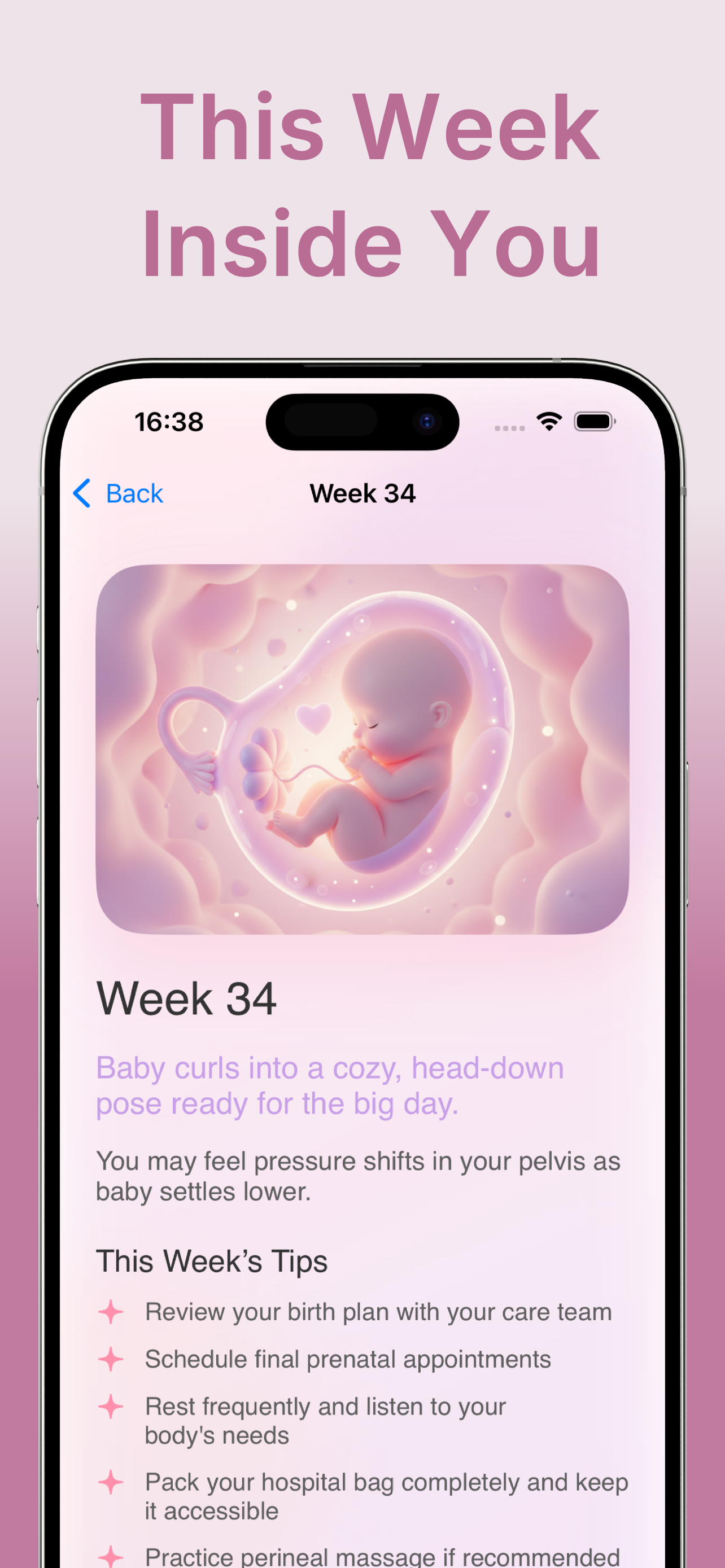 Pregnancy Pro Screenshot 3